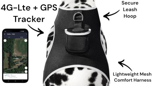Realtime GPS Dog Collar High Rated Reviews Pet Location Finder w/ App Size:L